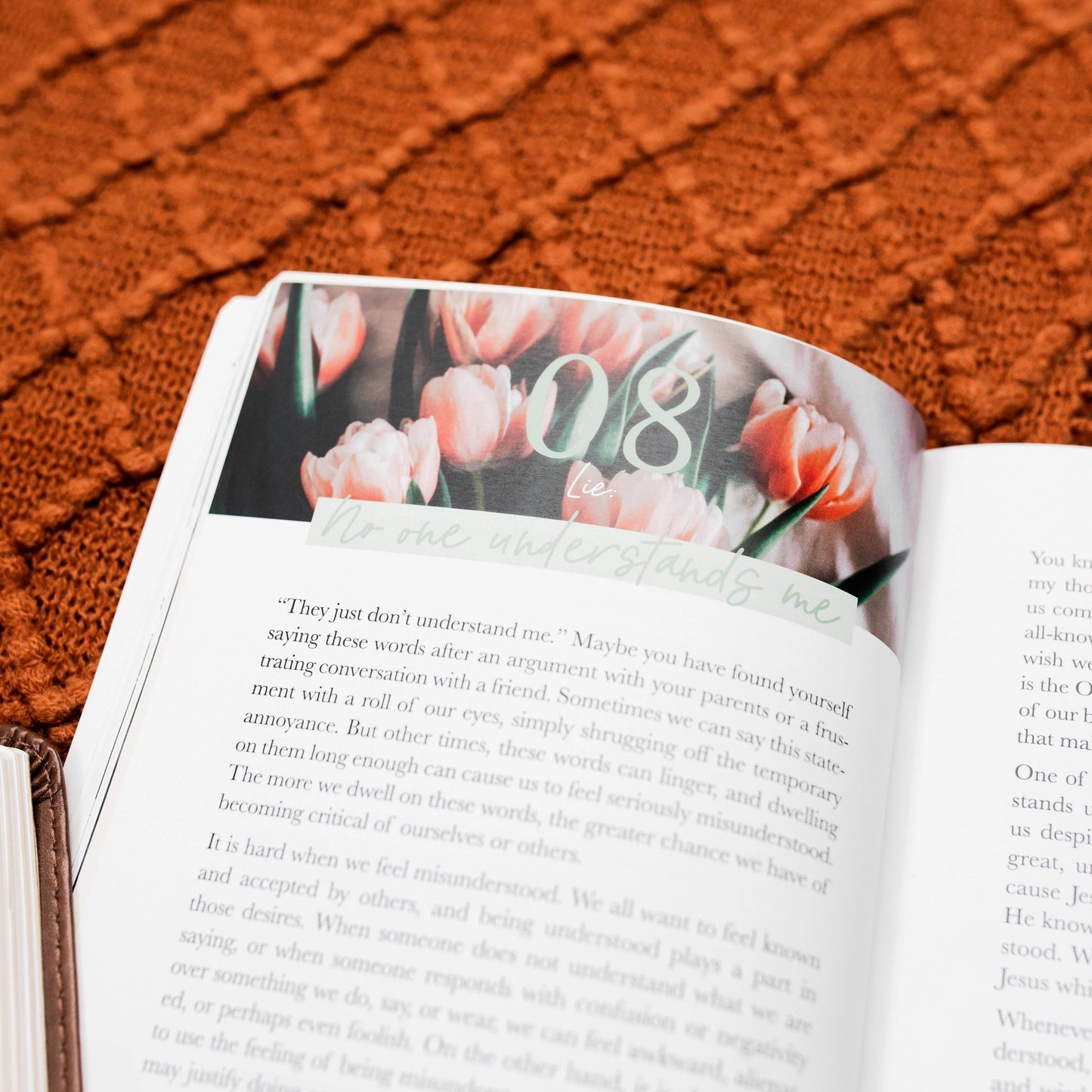 Thirty Truths For Common Lies For Teens Booklet