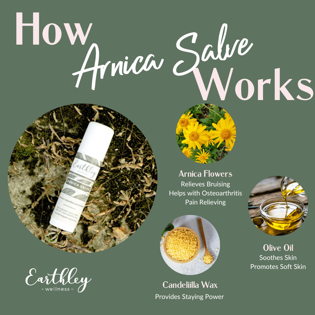 Arnica Salve (2 oz. Jar)