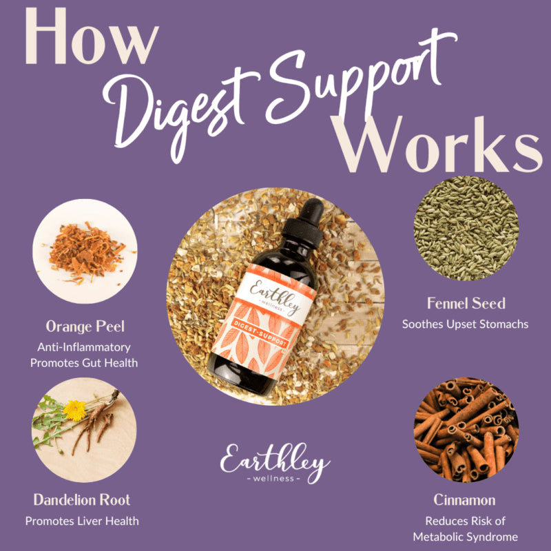 Digest-Support | Herbal Bitters for Healthy Digestion | 4 oz