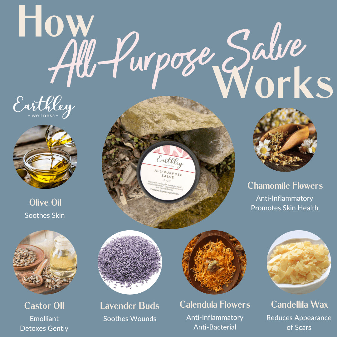 All Purpose Salve | 2 oz.