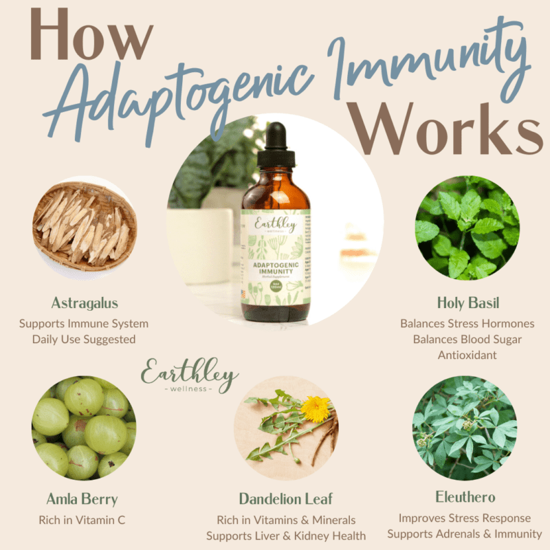 Adaptogenic Immunity | Daily Immune Support