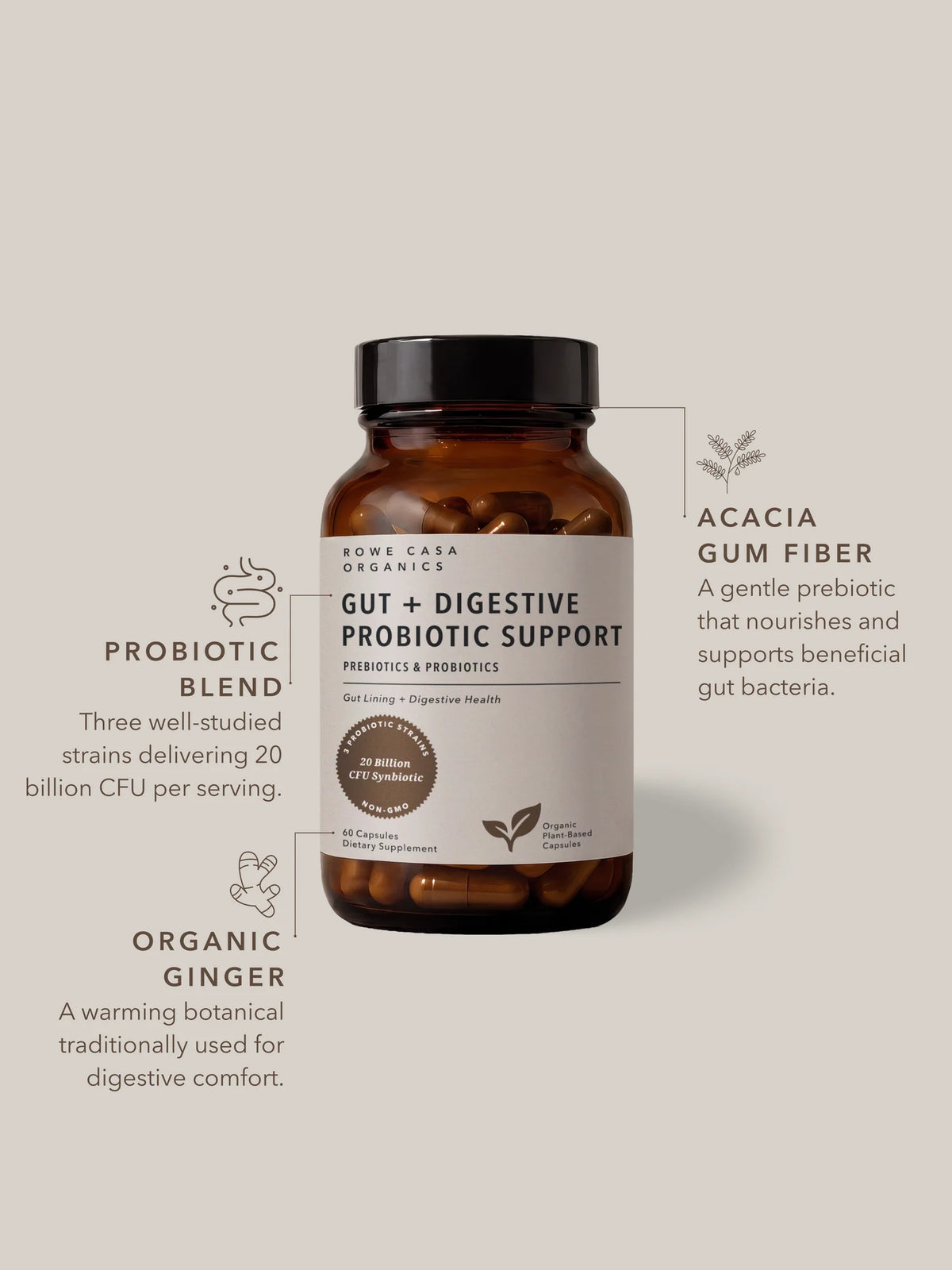 Gut + Digestive Probiotic Support | 60 capsules
