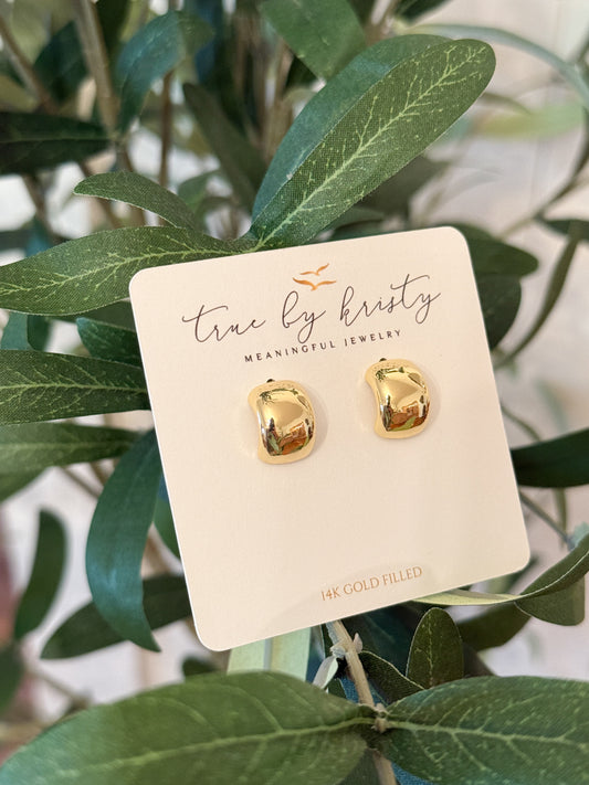 True Dome Earrings