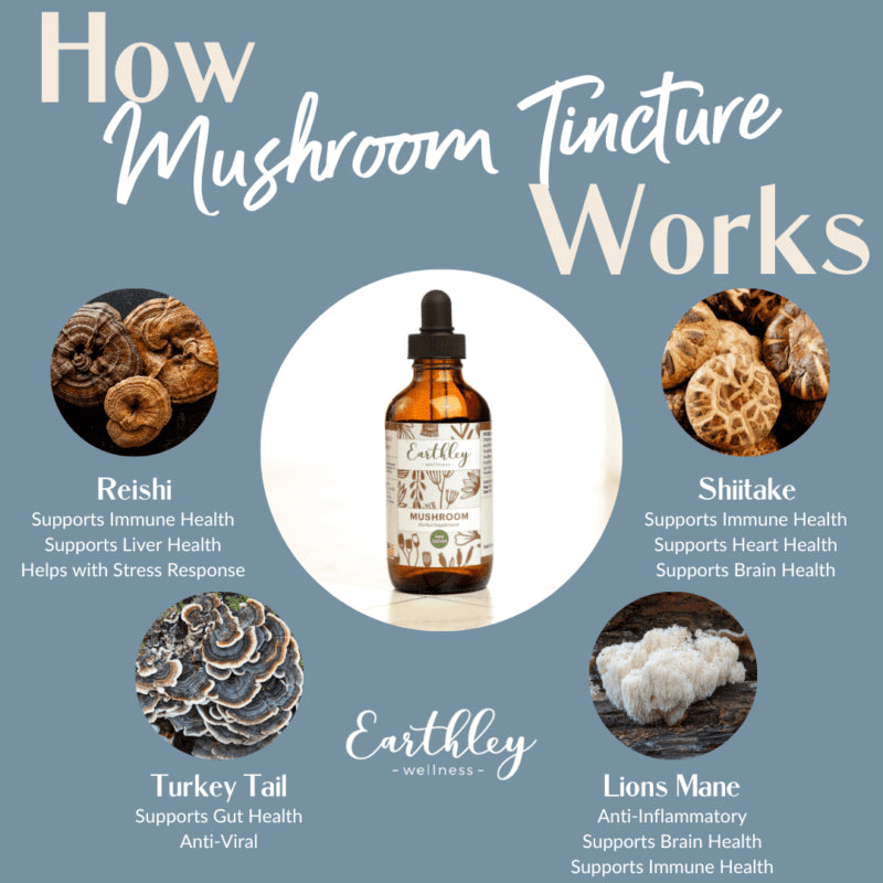 Mushroom Herbal Supplement | For Brain + Immune Health