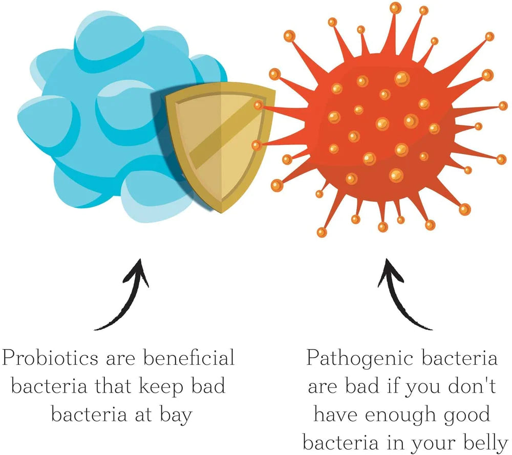 Probiotic